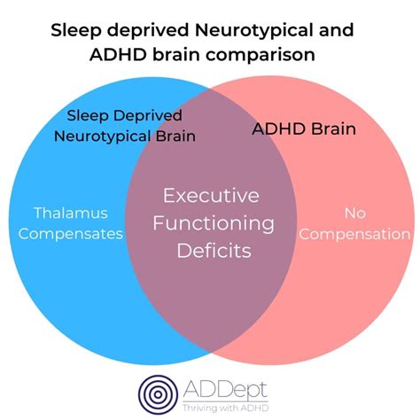 Do ADHD brains work better at night?