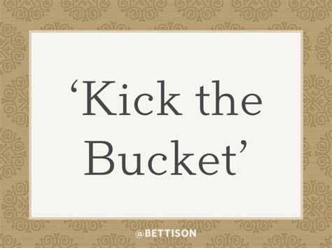 Do Americans use the word bucket?