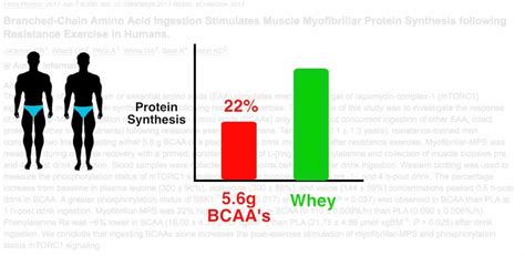 Do BCAA work like protein?