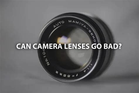 Do Canon lenses go bad?