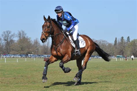 Do English riders gallop?