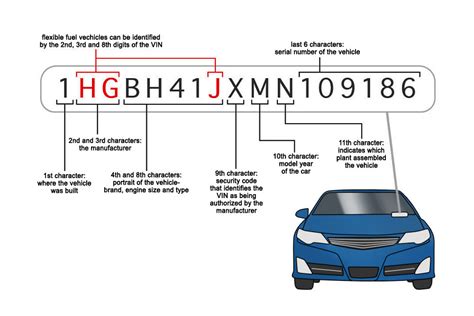 Do European cars have VIN numbers?