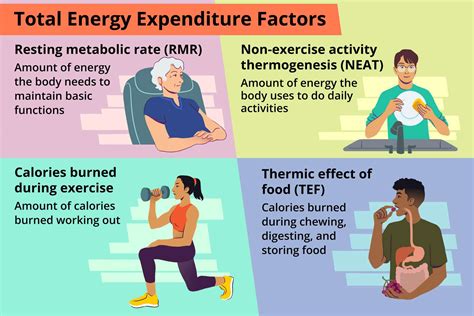 Do I burn more calories if I stay up all night?