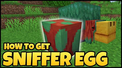 Do I need 2 sniffer eggs?