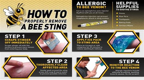 Do I need antibiotics after a bee sting?