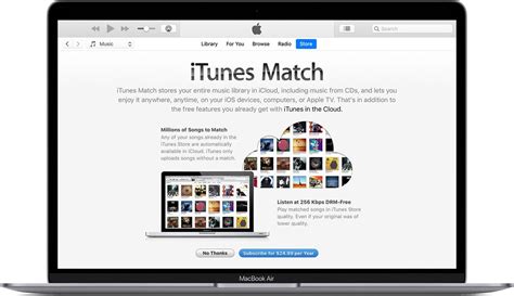 Do I need iTunes Match if I have Apple One?