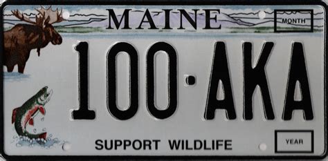 Do I need to return Maine plates?