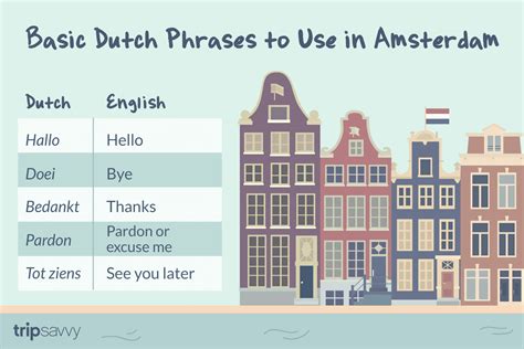 Do I need to speak Dutch in Amsterdam?