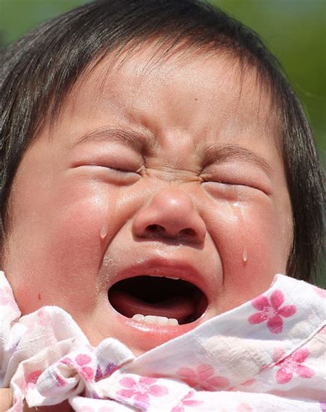 Do Japanese babies cry less?