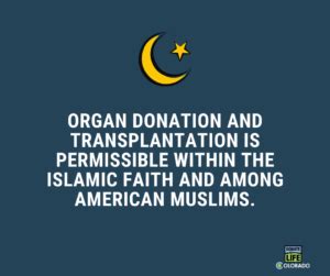 Do Muslims agree with organ donation?