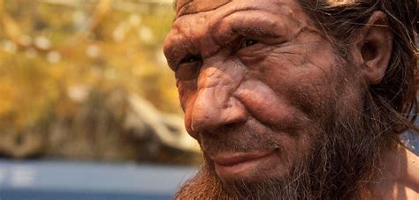 Do Neanderthals still exist?