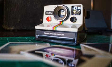 Do Polaroids develop better in light or dark?