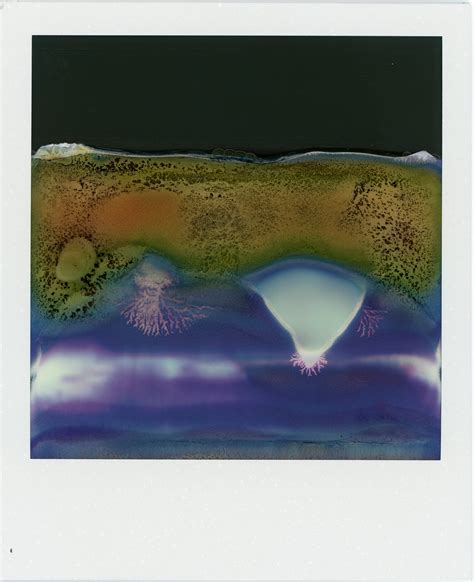 Do Polaroids get ruined by Xray?