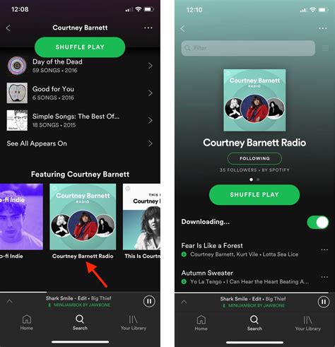 Do Spotify artists need premium?