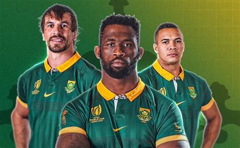 Do Springbok players get paid?