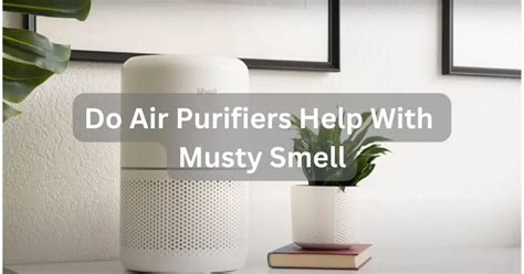 Do air purifiers help with smell?