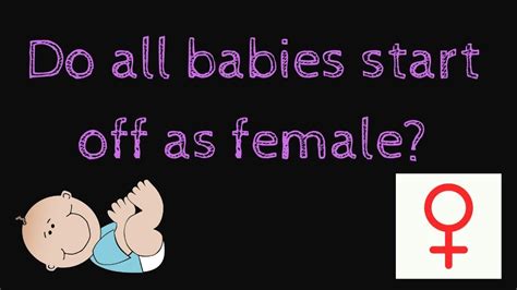 Do all babies start as female?