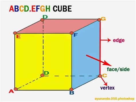 Do all cubes have 8 vertices?