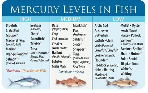 Do all foods have mercury?