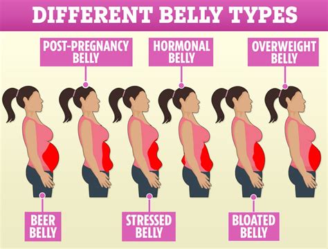 Do all girls have lower belly?