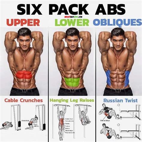 Do all humans have 6 abs?