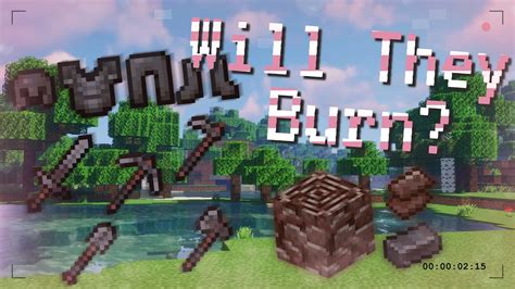 Do all items burn in lava Minecraft?