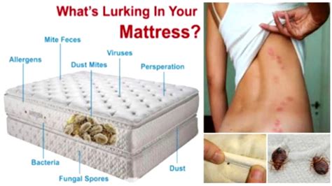 Do all mattresses have dust mites?