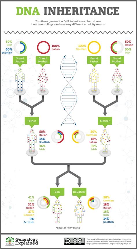 Do all siblings have same DNA?