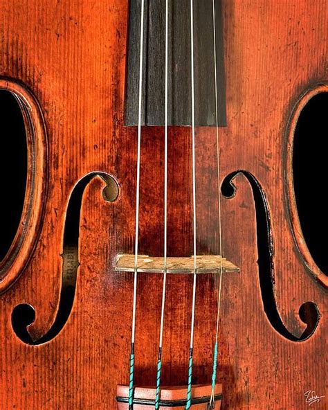 Do all violins have F holes?