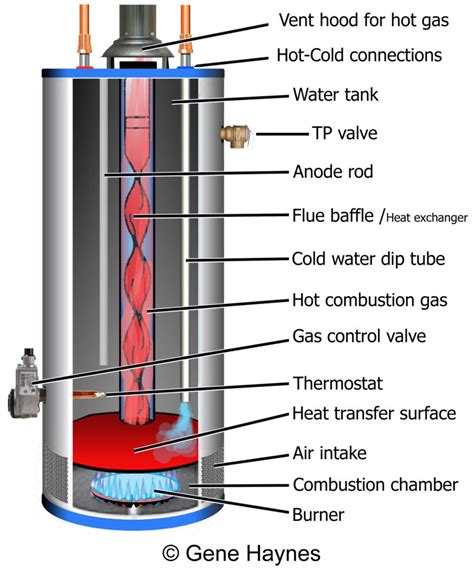 Do all water heaters have 2 elements?