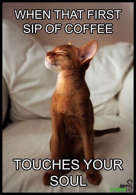 Do animals hate the smell of coffee?