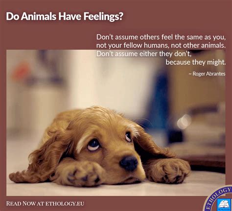 Do animals have feelings when they die?