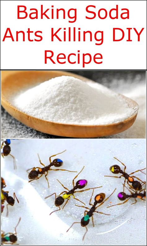 Do ants hate baking soda?