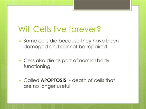 Do any cells live forever?