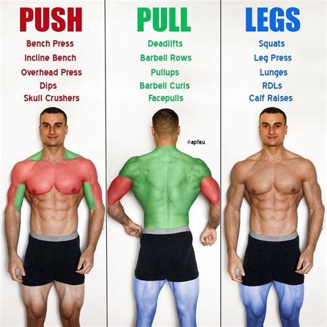 Do any muscles push instead of pull?