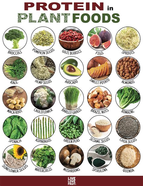 Do any plant foods contain complete protein?