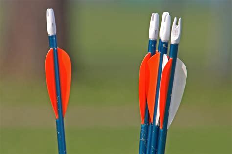 Do arrows bend when shot?