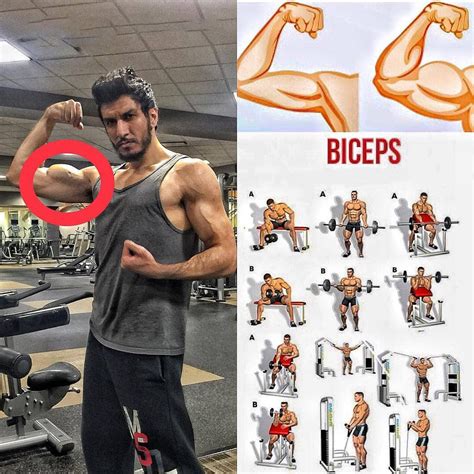 Do athletes train biceps?