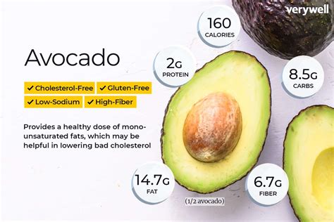Do avocados have protein?
