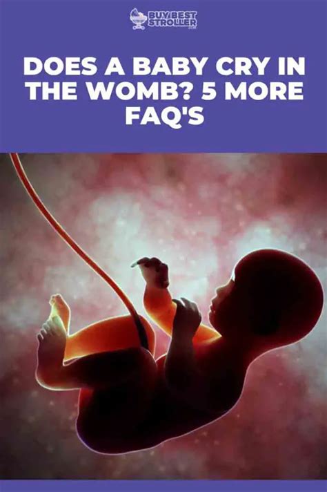 Do babies cry in womb?