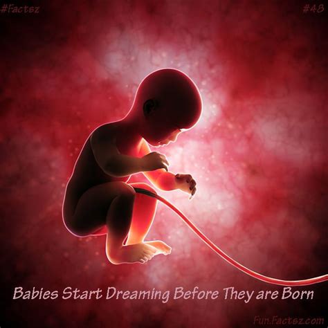 Do babies dream in the womb?