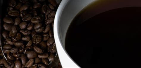 Do bacteria eat caffeine?