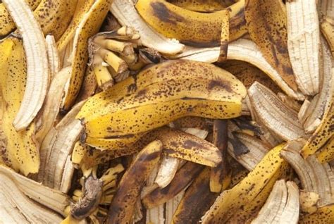 Do banana peels have chemicals?