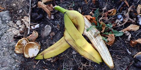 Do banana skins have pesticides?