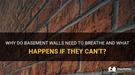 Do basement walls need to breathe?