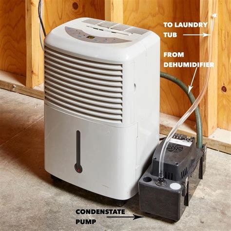 Do basements need humidifiers?