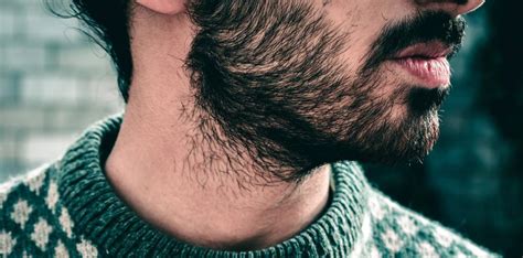 Do beards get split ends?