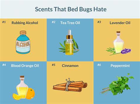 Do bed bugs hate the smell of apple cider vinegar?