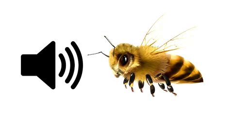 Do bees buzz in the key of C?