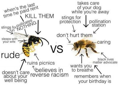 Do bees hate human breath?
